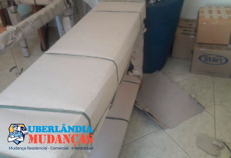 Mudanças Uberlândia - Empresa especializada em mudança residencial e comercial em Uberlândia